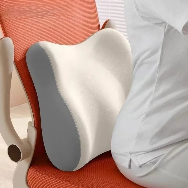 hollowed-out seat cushion - Complete Back & Tailbone Relief